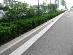 ������Ӧ����·��ʯ